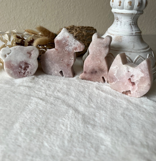 Teddy | Katze | Hund | Eule | Wolke