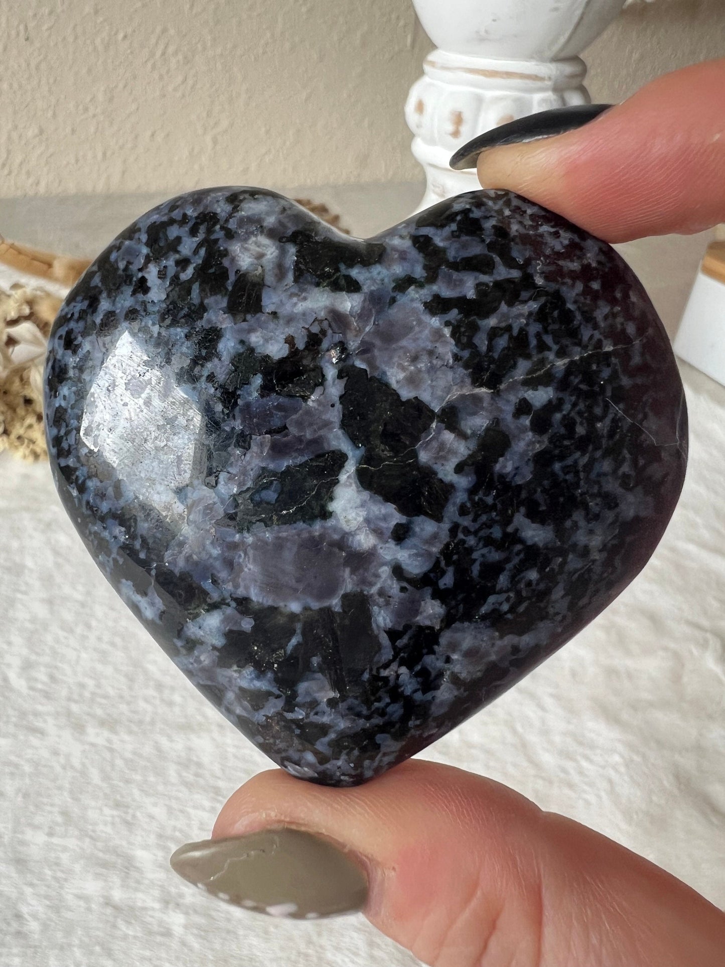 Gabbro Herzen