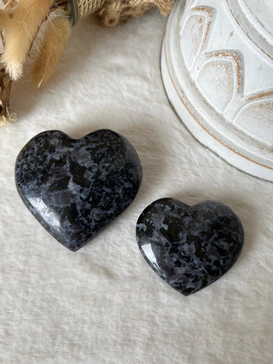 Gabbro Herzen