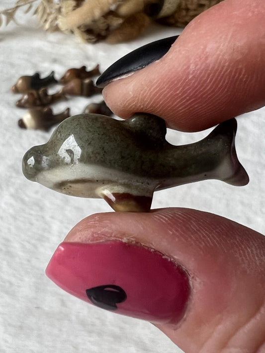 Polychrom Jaspis Fische