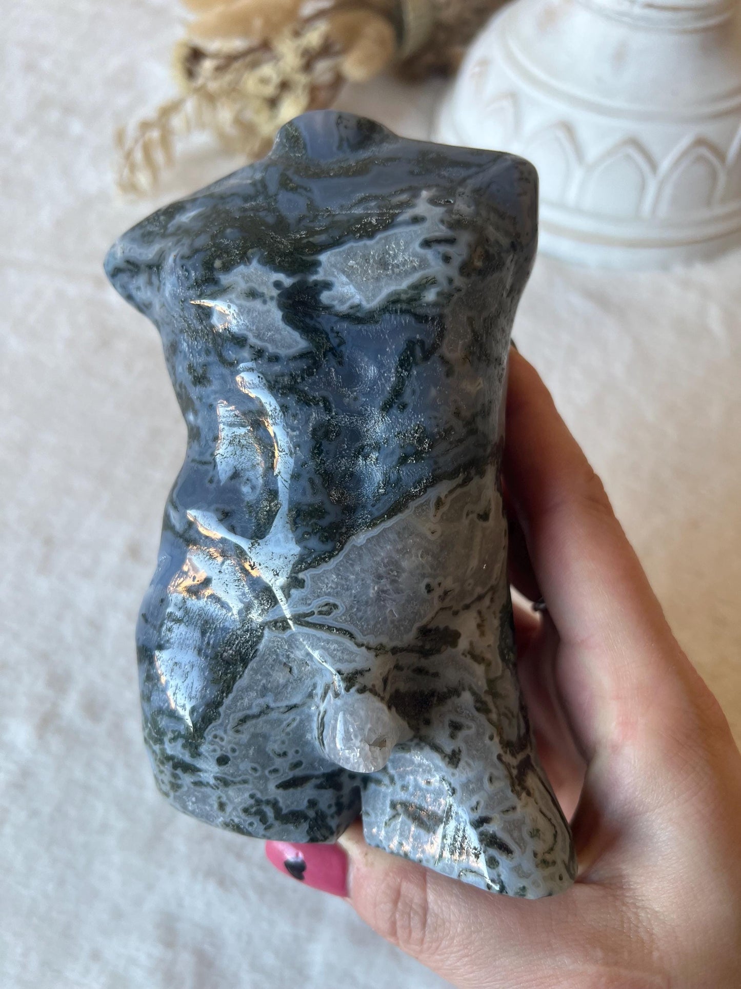 Moosachat Male Body XL