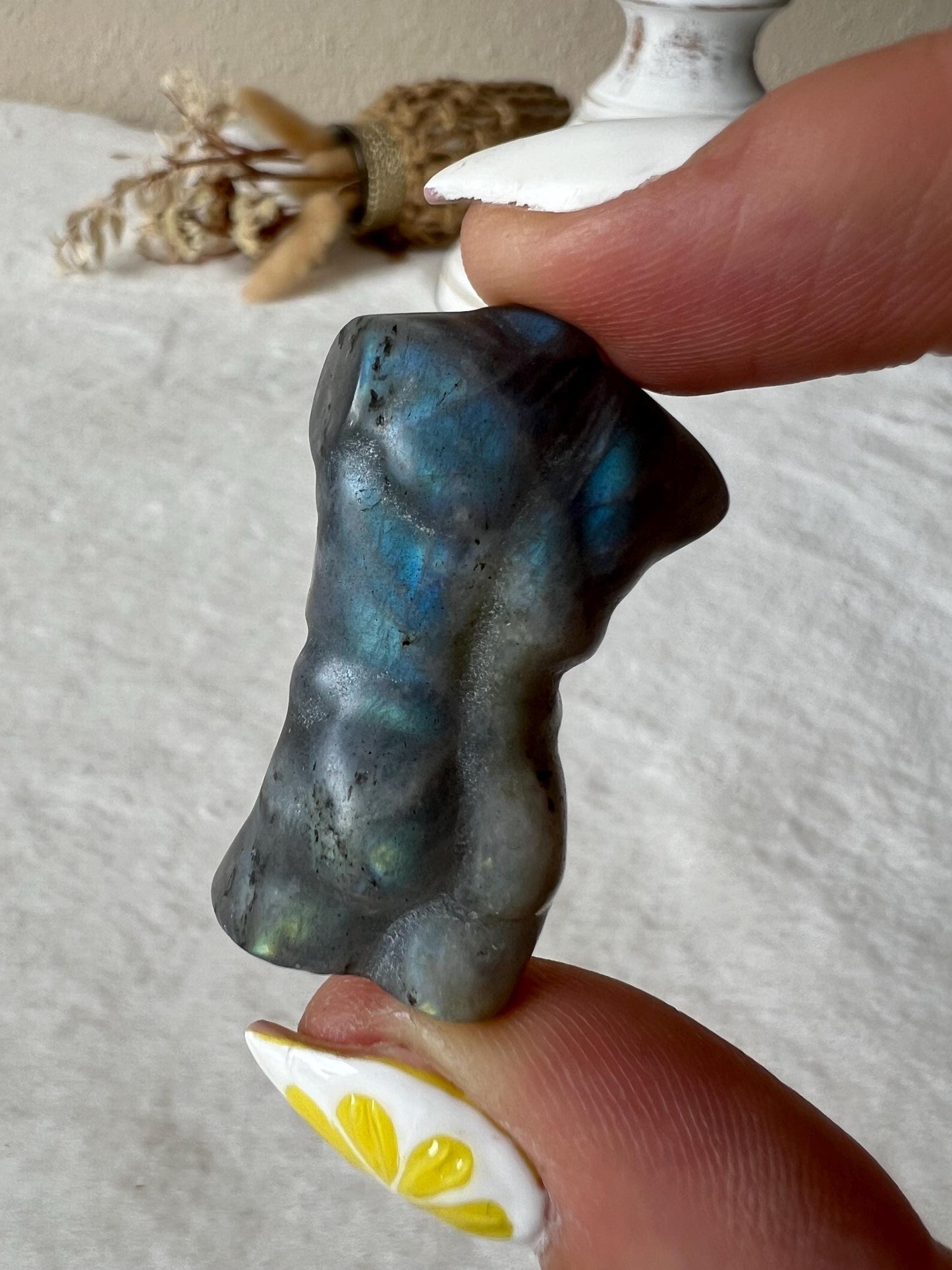 Labradorit Male Body