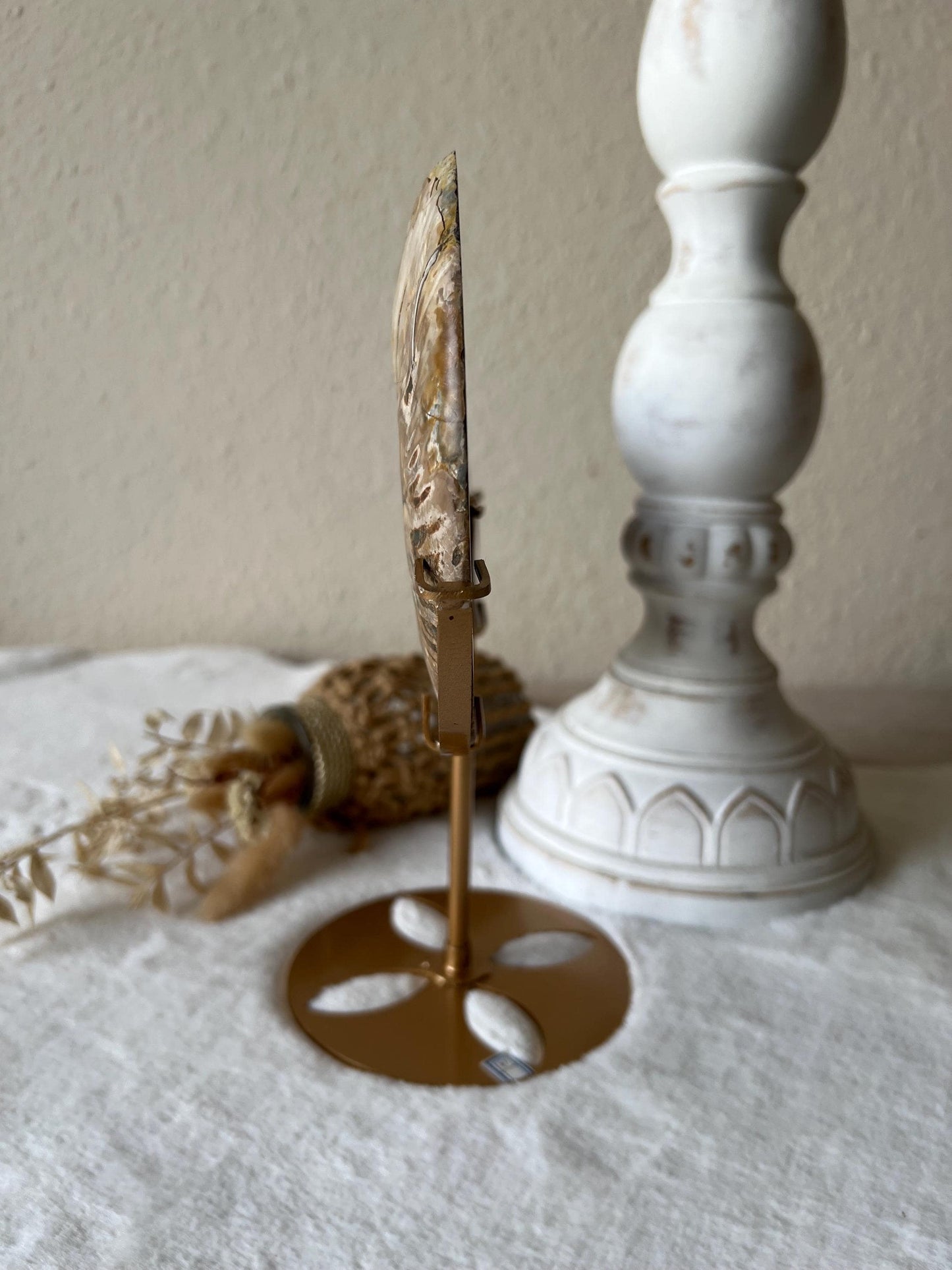 Ammoniten Paar auf Halter