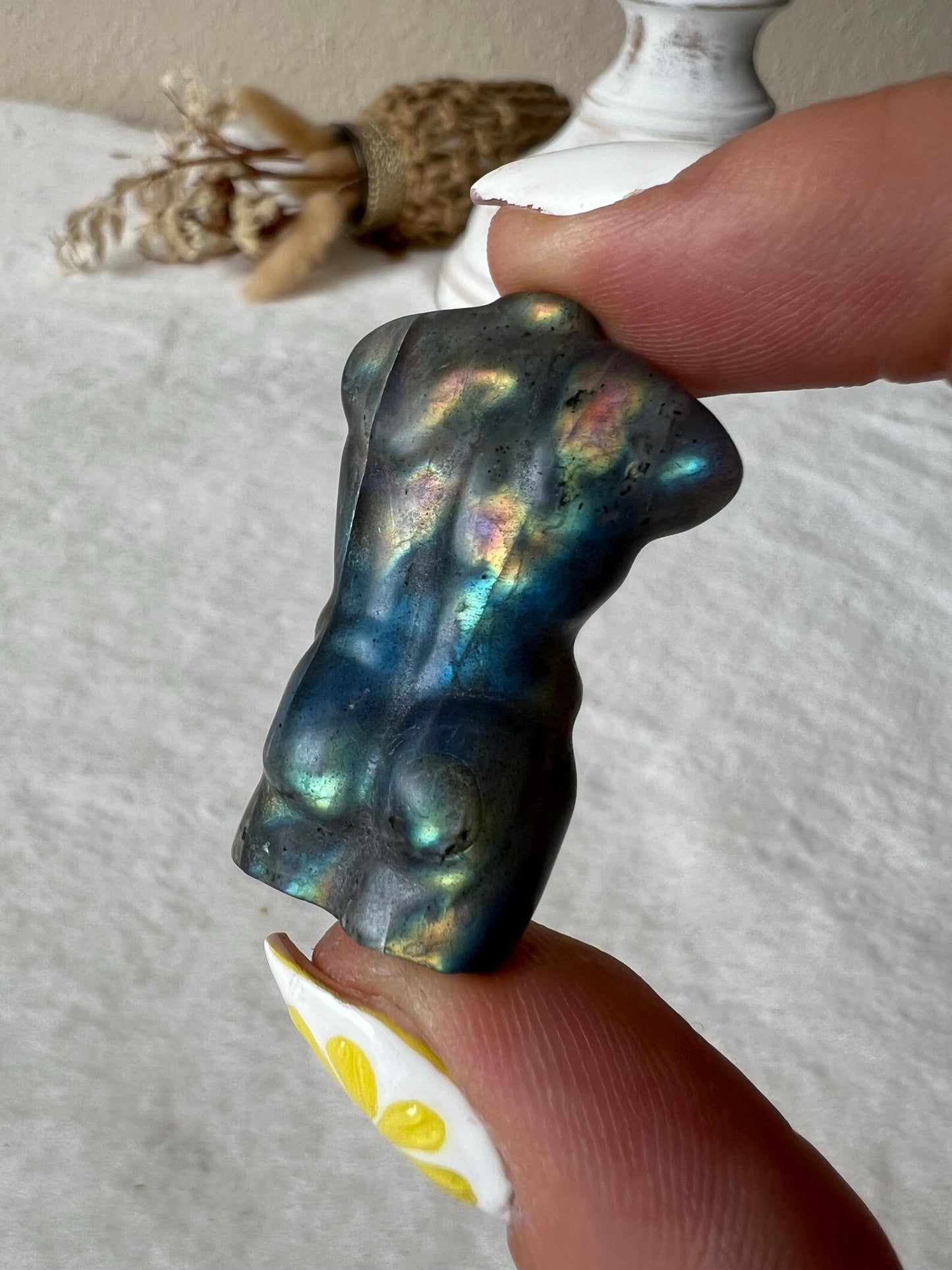 Labradorit Male Body