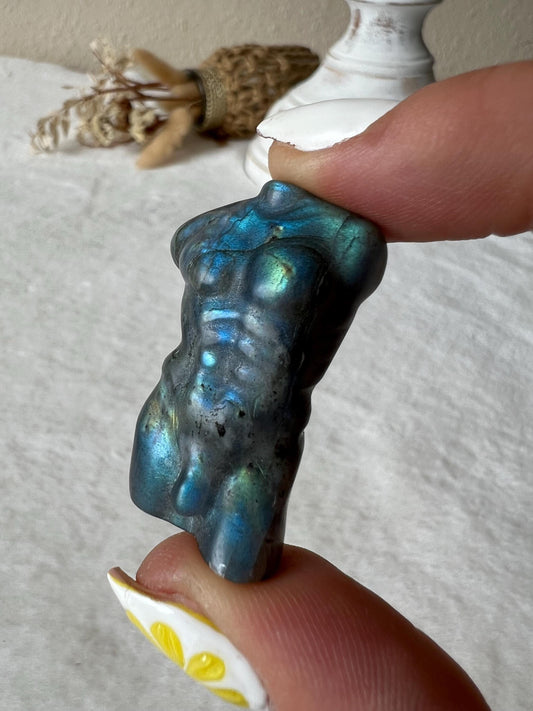 Labradorit Male Body