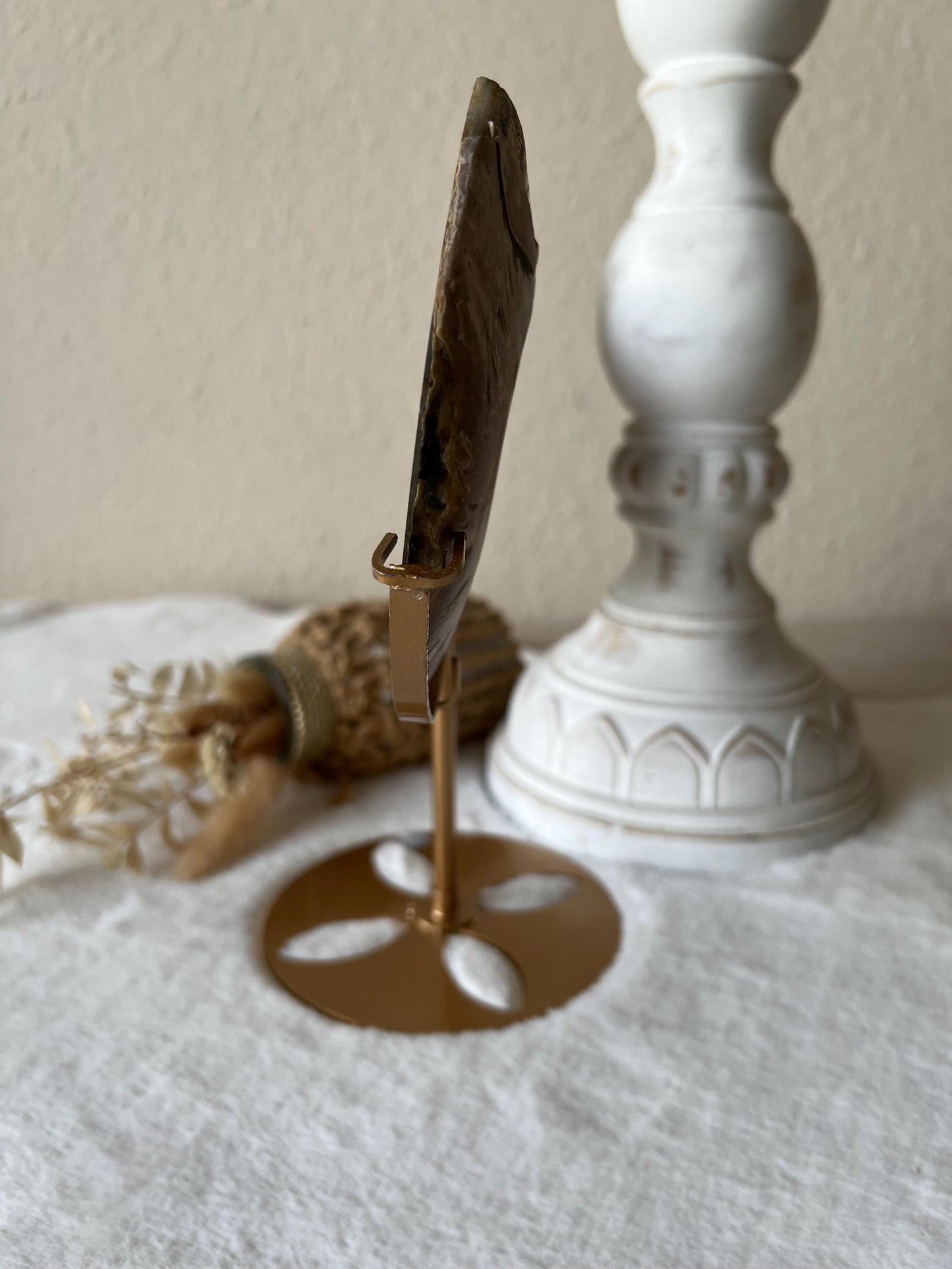 Ammoniten Paar auf Halter