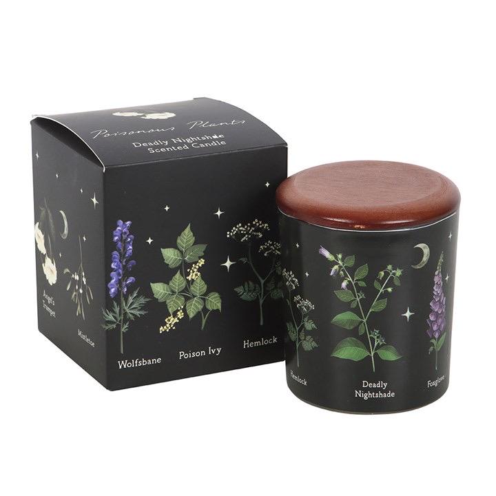 Poisonous Plants Duftkerze Deadly Nightshade | Gothic Kerze | Witchcore Deko | Hexen Geschenk | Mystische Duftkerze
